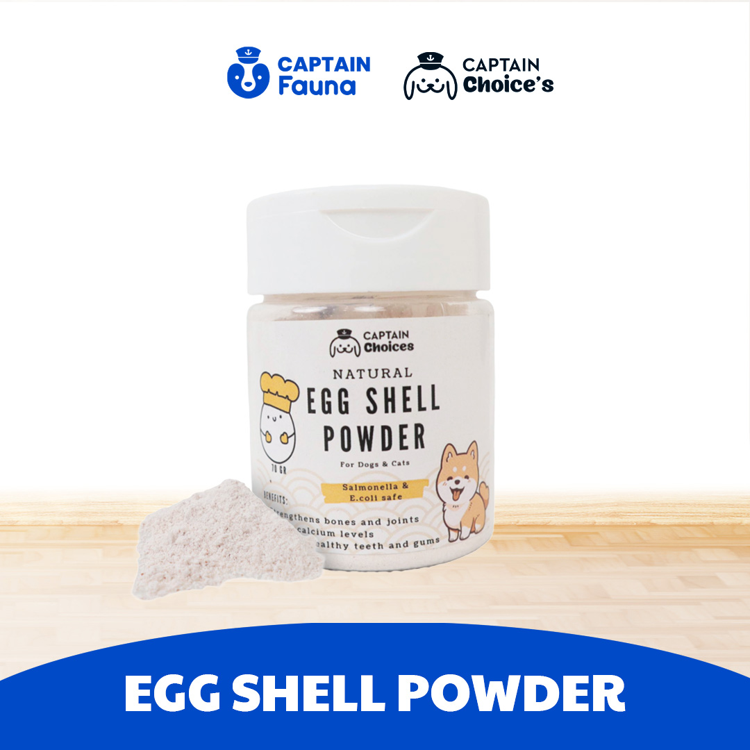 Egg Shell Untuk Kucing Anjing